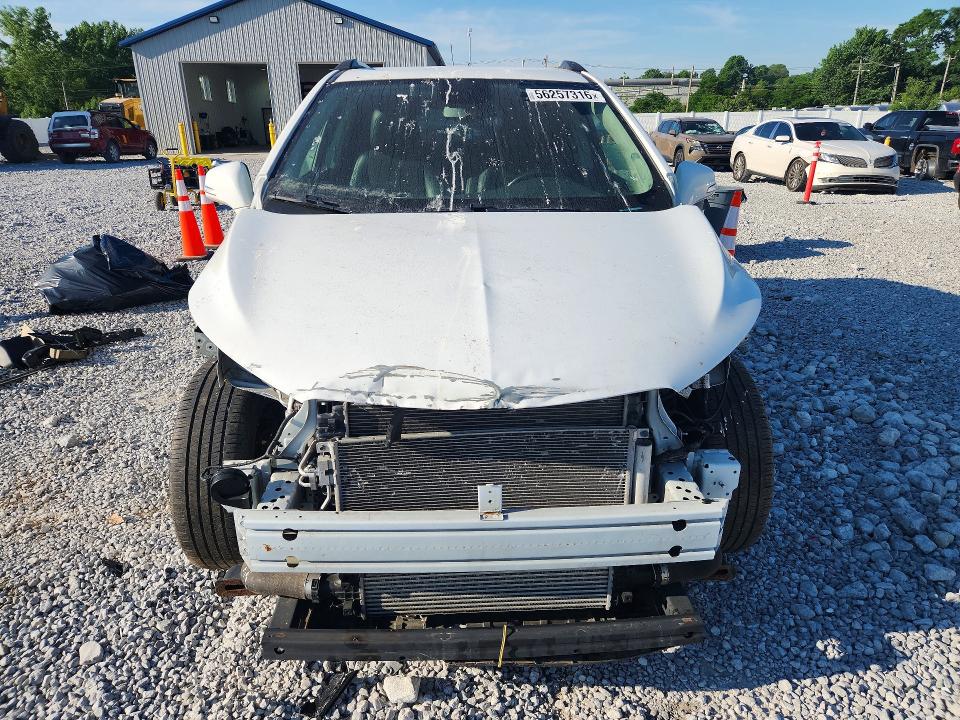 Auction sale of the 2019 Buick Encore, vin: KL4CJASB7KB941526, lot number: 56257316
