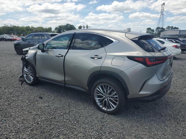 Aukcja sprzedaży 2025 Lexus Nx, vin: 2T2GGCEZ9SC071043, numer aukcji: 56031336