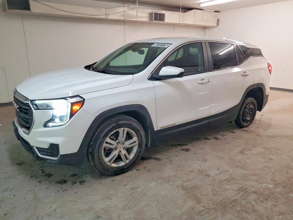 Aukcja sprzedaży 2024 Gmc Terrain, vin: 3GKALTEG2RL369644, numer aukcji: 56707376