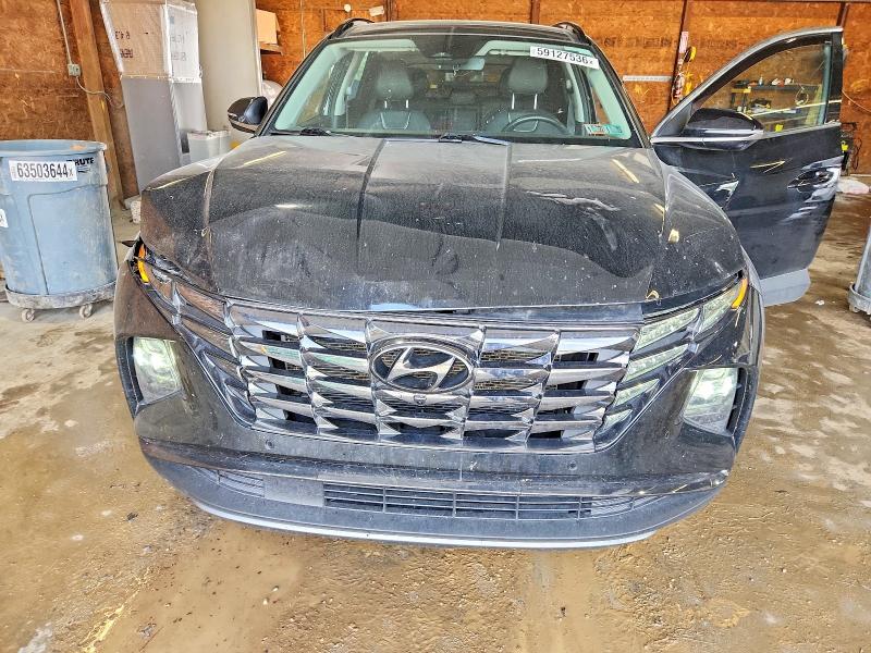 Продаж на аукціоні авто 2023 Hyundai Tucson, vin: 5NMJECAE8PH243129, номер лоту: 59127536