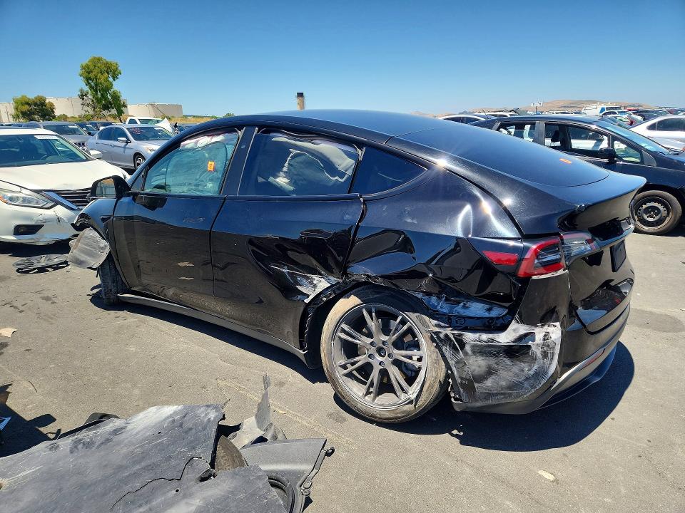 Продажа на аукционе авто 2024 Tesla Model Y, vin: 7SAYGDED4RF202522, номер лота: 56312496