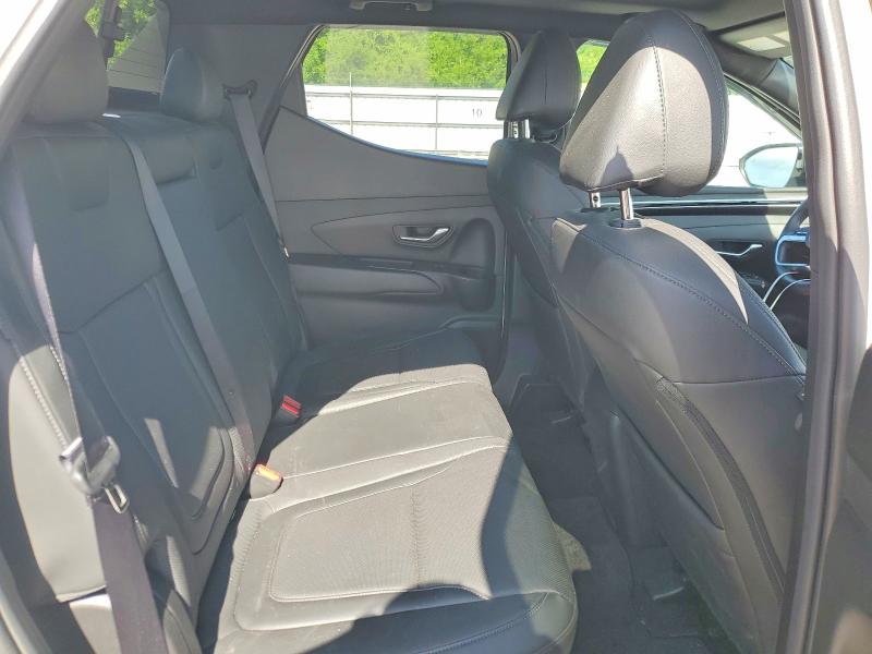 56506466 :رقم المزاد ، 5NTJDDDF1RH125587 vin ، 2024 Hyundai Santa Cruz مزاد بيع