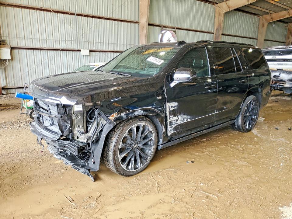 Auction sale of the 2025 Cadillac Escalade, vin: 1GYS9GRL8SR337769, lot number: 54995696