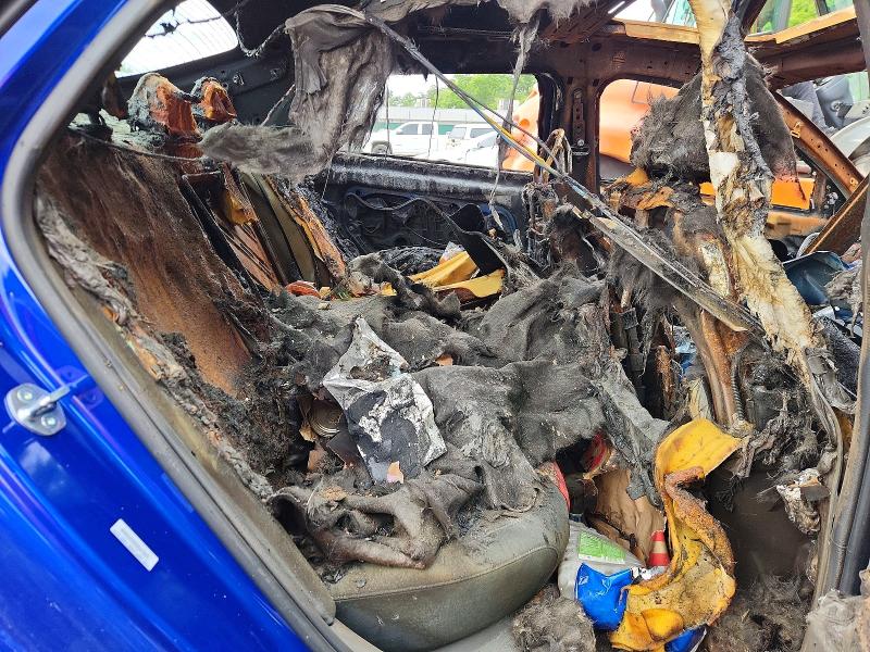 Aukcja sprzedaży 2025 Hyundai Elantra, vin: KMHLS4DG2SU034048, numer aukcji: 56316876