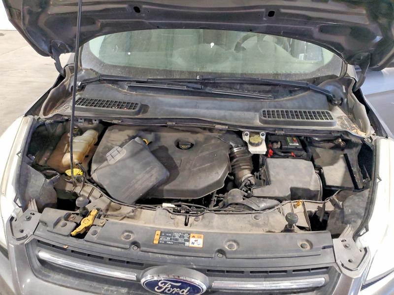 Продажа на аукционе авто 2014 Ford Escape, vin: 1FMCU0G94EUB07361, номер лота: 55584516