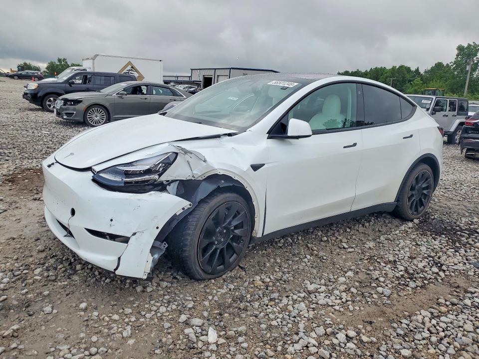 Продажа на аукционе авто 2021 Tesla Model Y, vin: 5YJYGDEE7MF190087, номер лота: 56501246