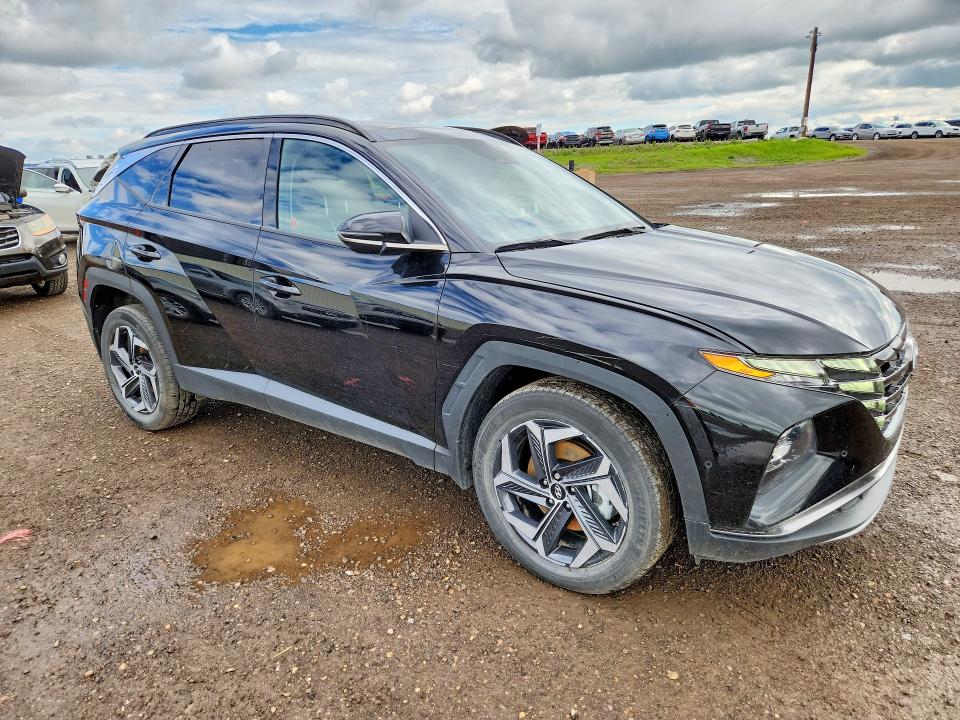 Продажа на аукционе авто 2024 Hyundai Tucson, vin: KM8JCCD14RU181914, номер лота: 57503226