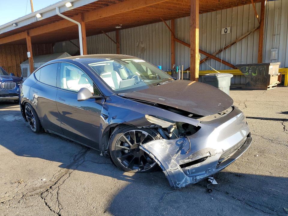 Продаж на аукціоні авто 2023 Tesla Model Y, vin: 7SAYGDEE8PF783884, номер лоту: 59129566
