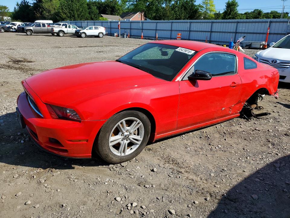 Продаж на аукціоні авто 2014 Ford Mustang, vin: 1ZVBP8AMXE5249496, номер лоту: 55429016
