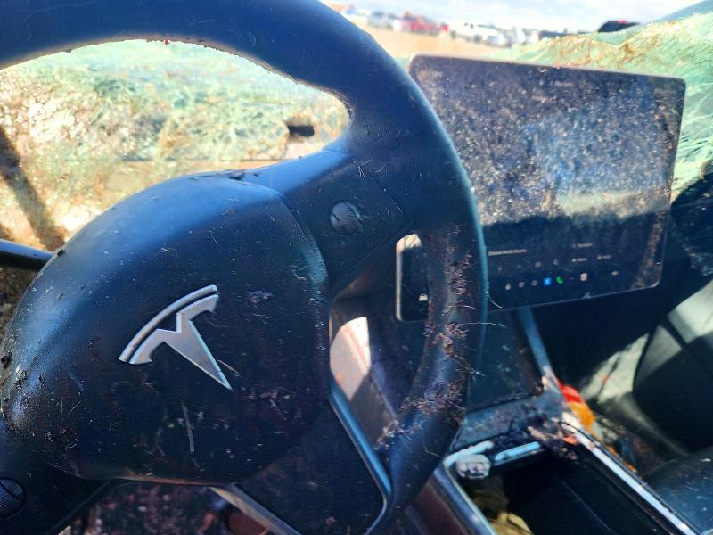 56144766 :رقم المزاد ، 7SAYGAEEXRF023506 vin ، 2024 Tesla Model Y مزاد بيع