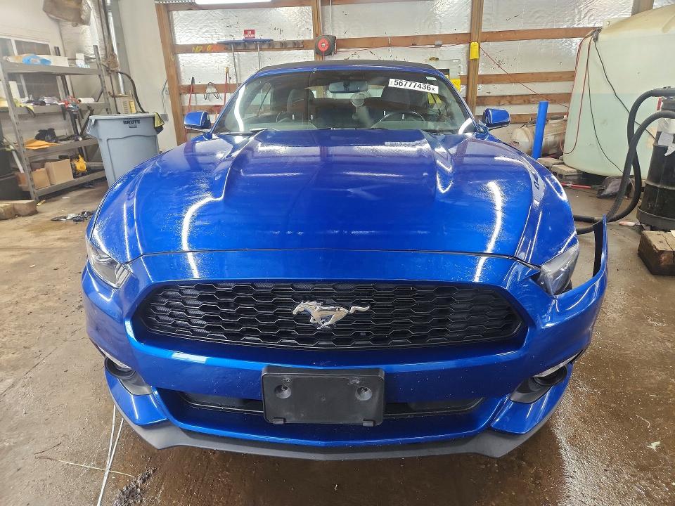 56777436 :رقم المزاد ، 1FATP8EMXH5345964 vin ، 2017 Ford Mustang مزاد بيع
