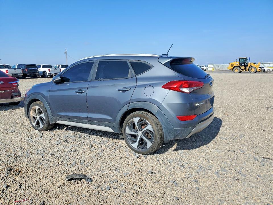 Продажа на аукционе авто 2017 Hyundai Tucson, vin: KM8J3CA25HU531224, номер лота: 55779036