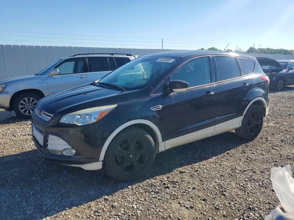 Продаж на аукціоні авто 2014 Ford Escape, vin: 1FMCU0GX9EUD30235, номер лоту: 58439066