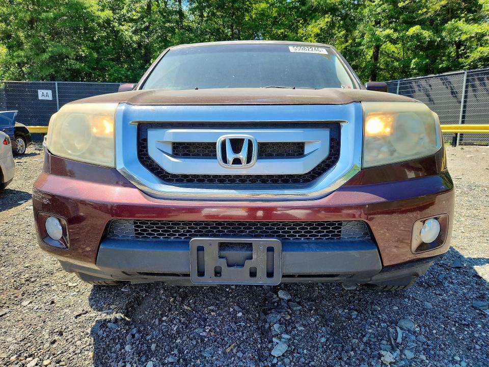 Продаж на аукціоні авто 2009 Honda Pilot, vin: 5FNYF48589B028068, номер лоту: 55982246