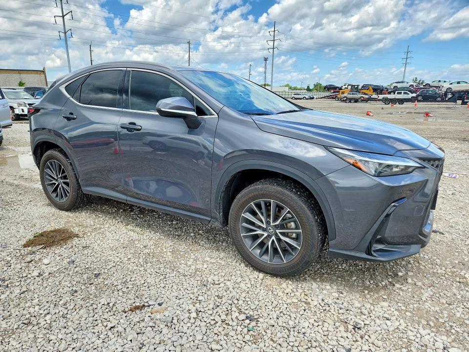 2025 Lexus Nx მანქანა იყიდება აუქციონზე, vin: 2T2GDCAZ4SC018006, აუქციონის ნომერი: 57819976