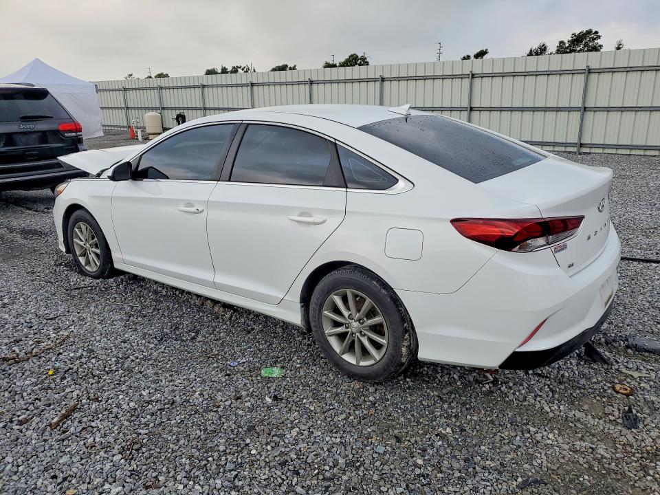 56329606 :رقم المزاد ، 5NPE24AF4KH813034 vin ، 2019 Hyundai Sonata مزاد بيع