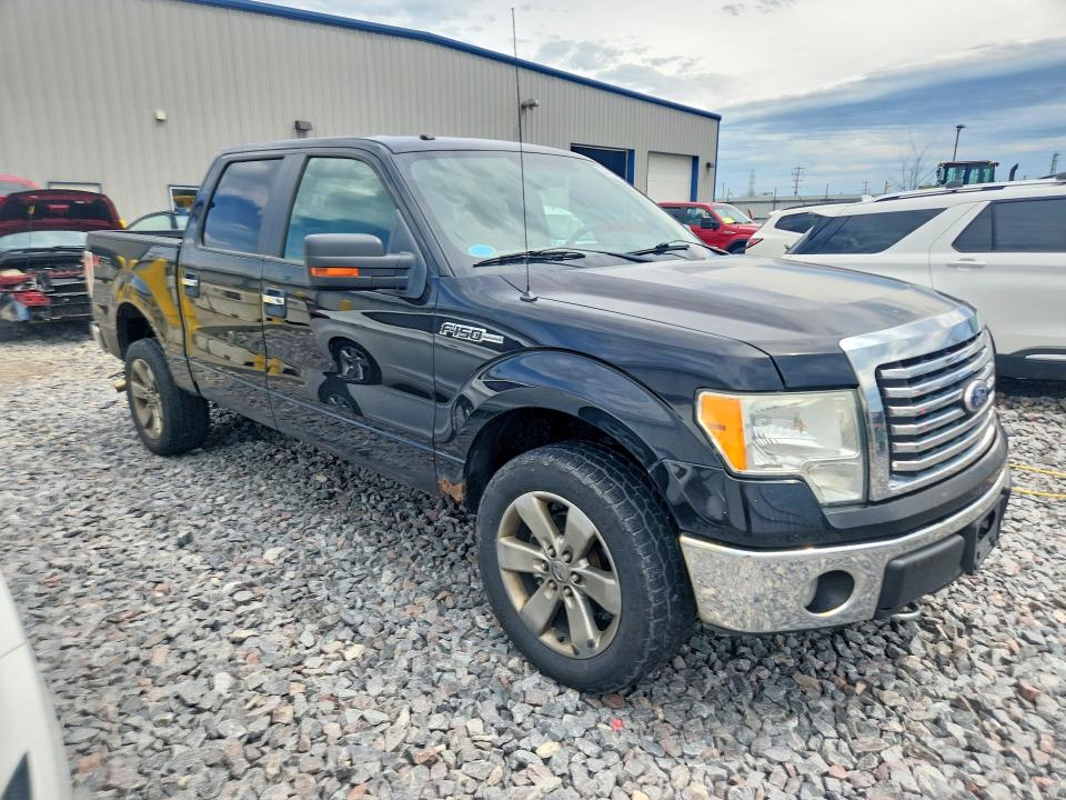 56853616 :رقم المزاد ، 1FTFW1EV1AFD36662 vin ، 2010 Ford F150 مزاد بيع