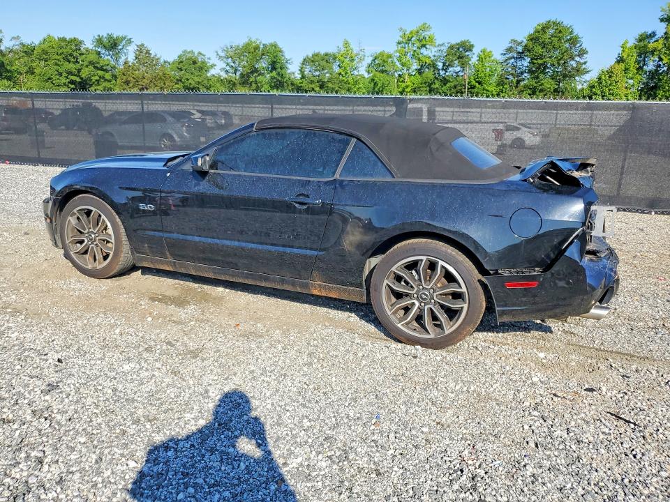 Продаж на аукціоні авто 2014 Ford Mustang, vin: 1ZVBP8FF7E5315660, номер лоту: 55635996