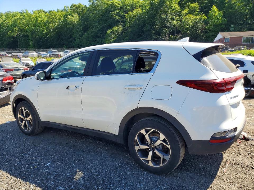 Продаж на аукціоні авто 2020 Kia Sportage, vin: KNDPMCAC5L7736246, номер лоту: 55536266