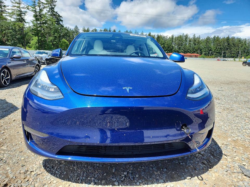 Продаж на аукціоні авто 2021 Tesla Model Y, vin: 5YJYGDEE7MF219846, номер лоту: 56179056