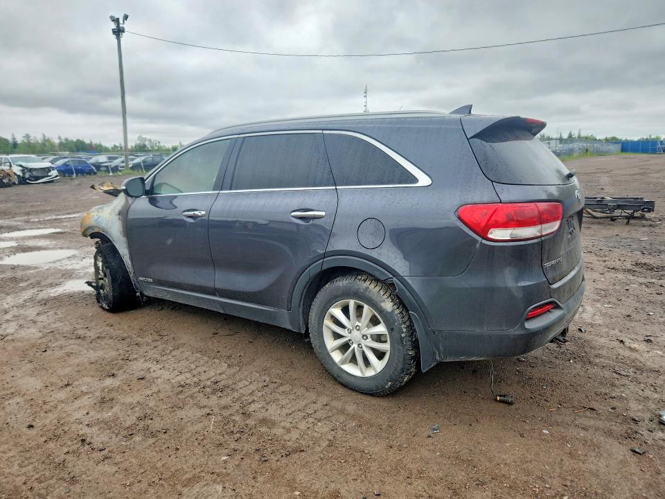 Auction sale of the 2017 Kia Sorento, vin: 5XYPGDA5XHG199768, lot number: 57436336