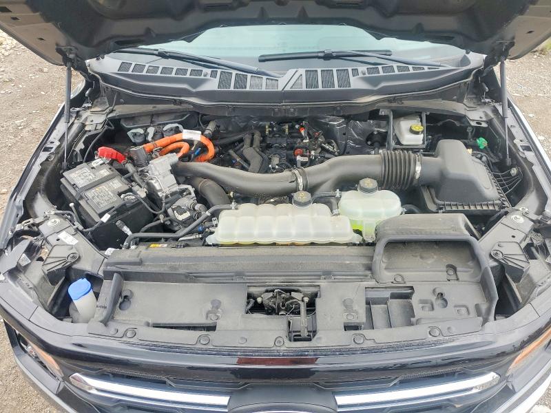 Aukcja sprzedaży 2025 Ford F150, vin: 1FTFW3LD9SFB00462, numer aukcji: 54899756