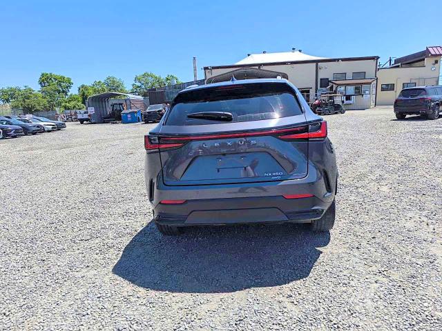 2024 Lexus Nx მანქანა იყიდება აუქციონზე, vin: 2T2HGCEZ6RC047359, აუქციონის ნომერი: 56097476