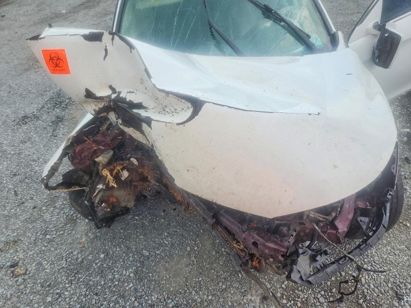 55983996 :رقم المزاد ، 1HGCR2F78EA229919 vin ، 2014 Honda Accord مزاد بيع