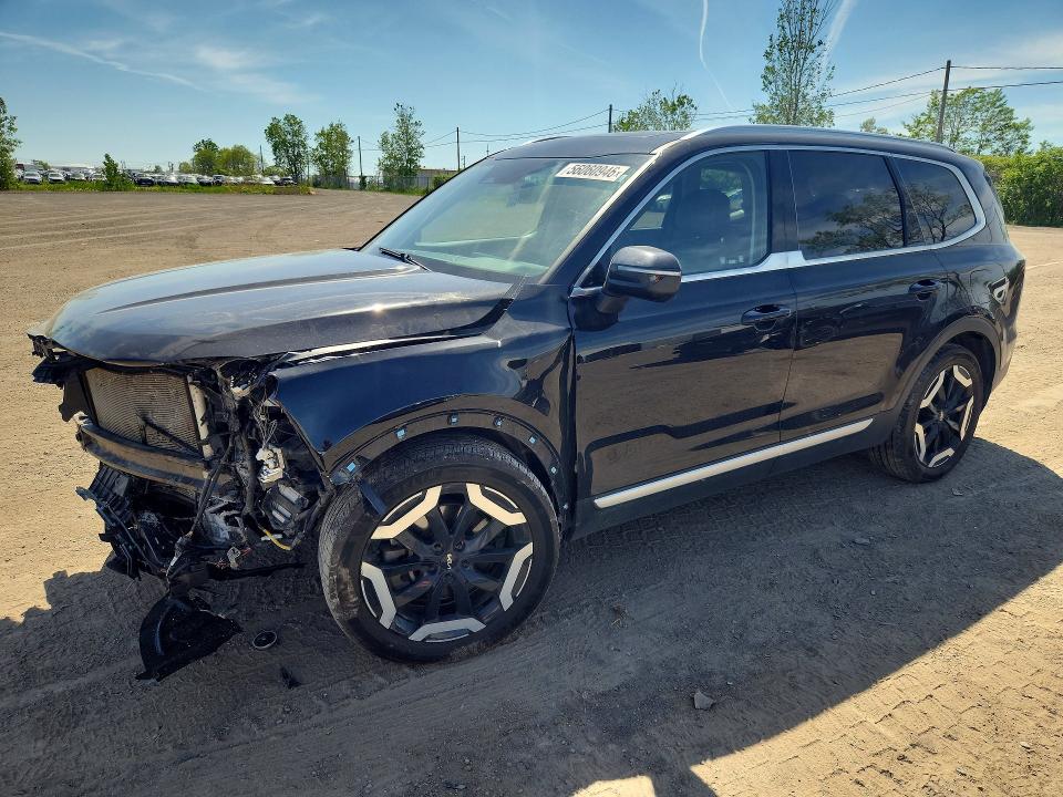 Продажа на аукционе авто 2023 Kia Telluride, vin: 5XYP3DGC3PG342348, номер лота: 56060946