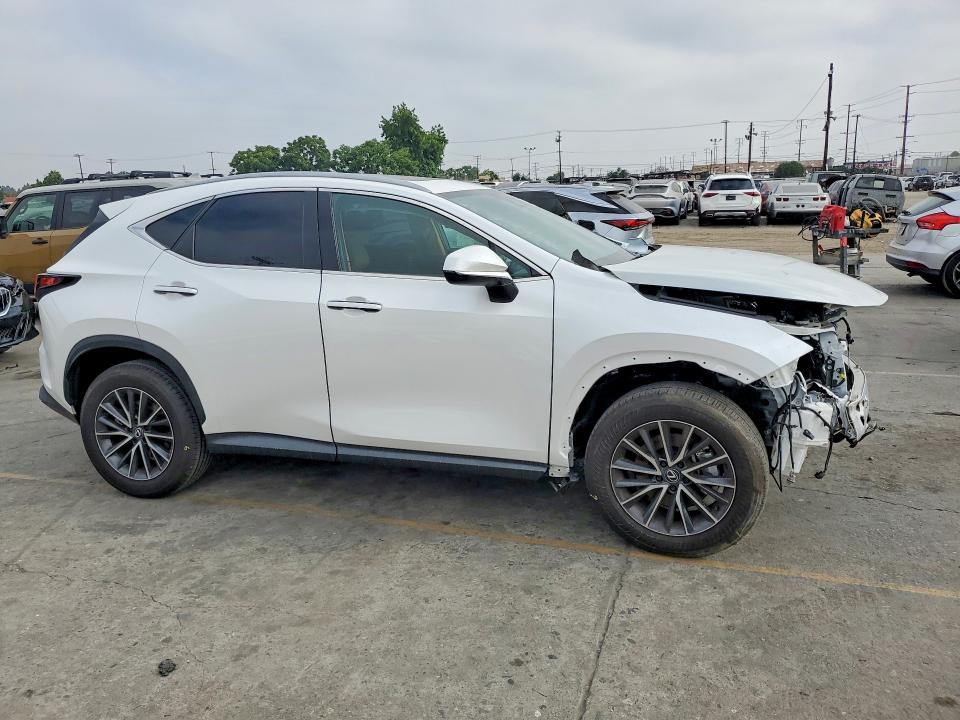 Продаж на аукціоні авто 2025 Lexus Nx 250, vin: 2T2ADCAZ2SC030015, номер лоту: 58334416