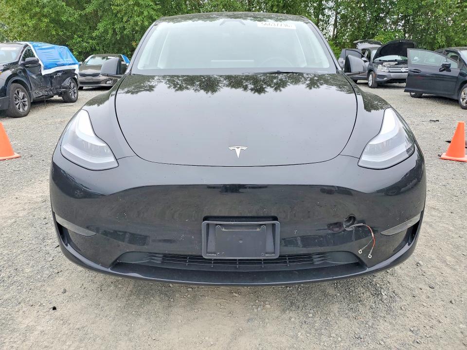 Продаж на аукціоні авто 2025 Tesla Model Y, vin: 7SAYGDEE4SF263951, номер лоту: 56637736
