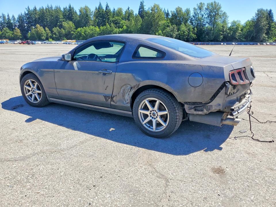 2014 Ford Mustang მანქანა იყიდება აუქციონზე, vin: 1ZVBP8AM2E5281567, აუქციონის ნომერი: 56497906