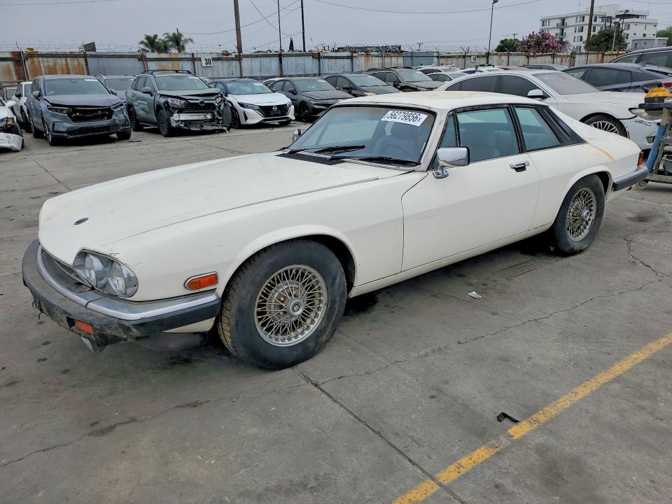 Auction sale of the 1984 Jaguar Xjs, vin: SAJNV5842EC113497, lot number: 56279856