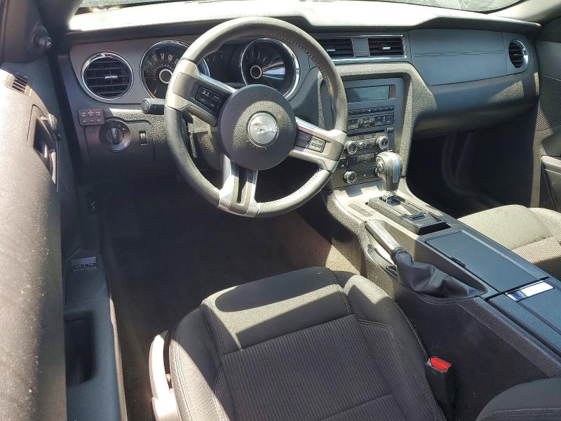 55636786 :رقم المزاد ، 1ZVBP8AM8D5282401 vin ، 2013 Ford Mustang مزاد بيع