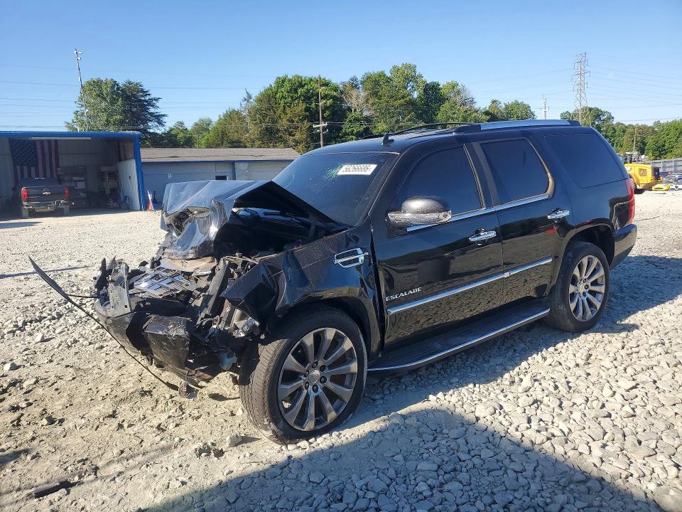 Продаж на аукціоні авто 2010 Cadillac Escalade, vin: 1GYUKBEF7AR213636, номер лоту: 56266686