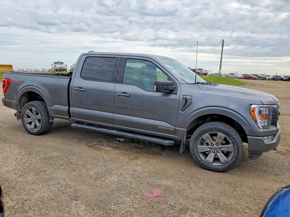 Aukcja sprzedaży 2023 Ford F150, vin: 1FTFW1ED7PFA28069, numer aukcji: 58999686