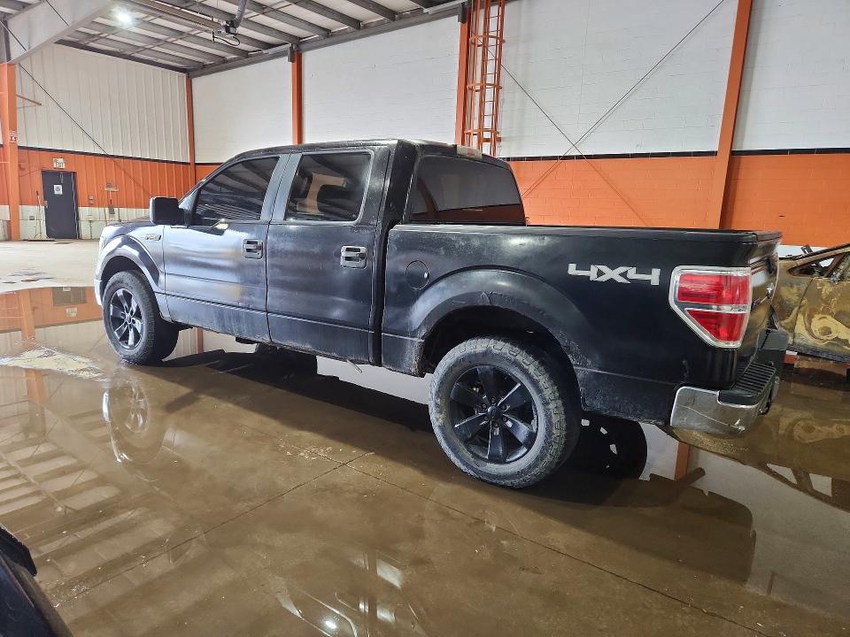 Продаж на аукціоні авто 2010 Ford F150, vin: 1FTFW1EV7AFD34561, номер лоту: 55973666