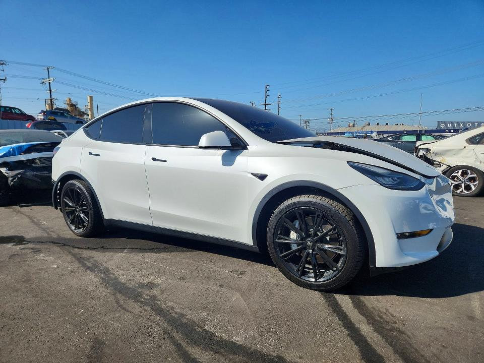 56995346 :رقم المزاد ، 5YJYGDEE7MF202643 vin ، 2021 Tesla Model Y مزاد بيع