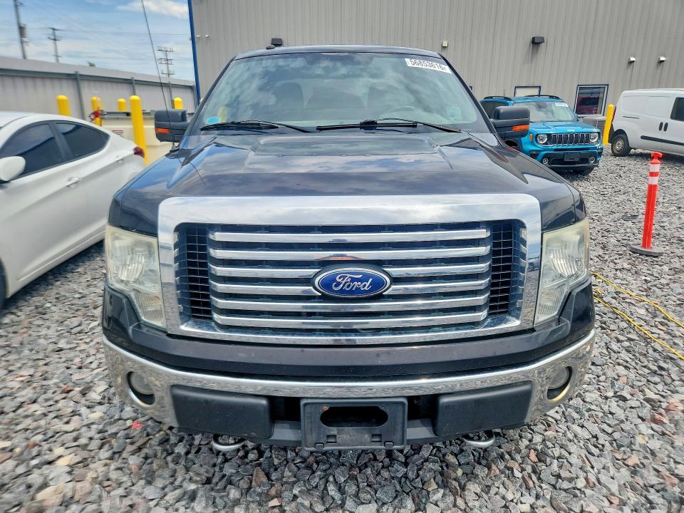 56853616 :رقم المزاد ، 1FTFW1EV1AFD36662 vin ، 2010 Ford F150 مزاد بيع