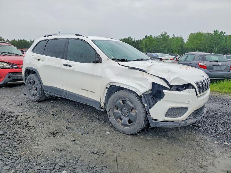 56574216 :رقم المزاد ، 1C4PJLAB4KD193486 vin ، 2019 Jeep Cherokee مزاد بيع