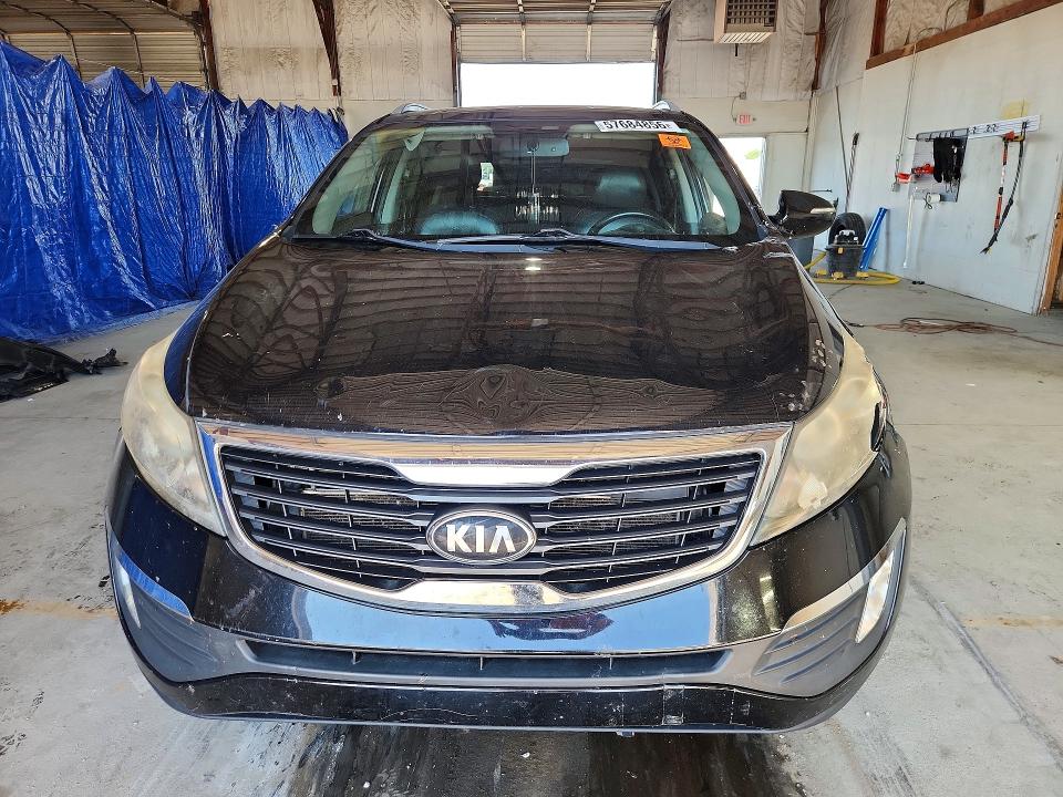 2013 Kia Sportage მანქანა იყიდება აუქციონზე, vin: KNDPCCA24D7411230, აუქციონის ნომერი: 57684856