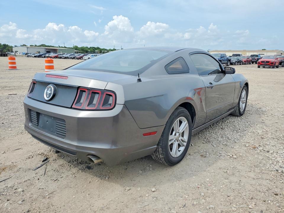 Продажа на аукционе авто 2014 Ford Mustang, vin: 1ZVBP8AMXE5277539, номер лота: 55634456