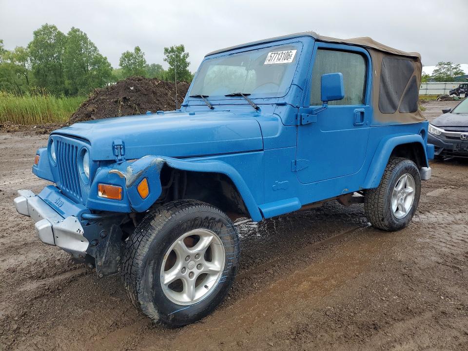 2002 Jeep Wrangler / Tj მანქანა იყიდება აუქციონზე, vin: 1J4FA29P02P769458, აუქციონის ნომერი: 57713106