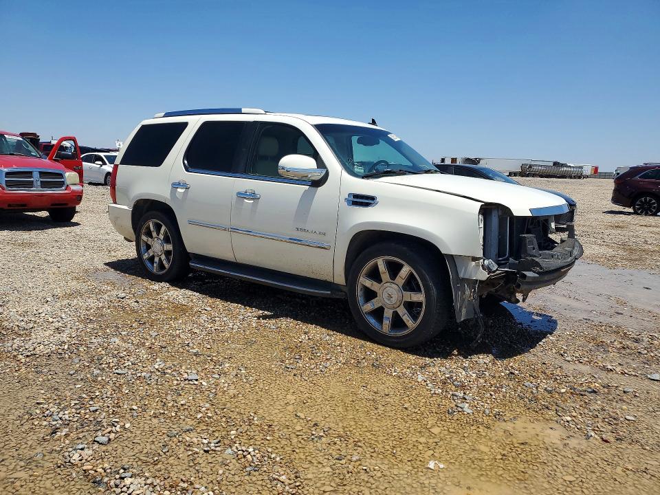 58533146 :رقم المزاد ، 1GYEC63817R346253 vin ، 2007 Cadillac Escalade مزاد بيع