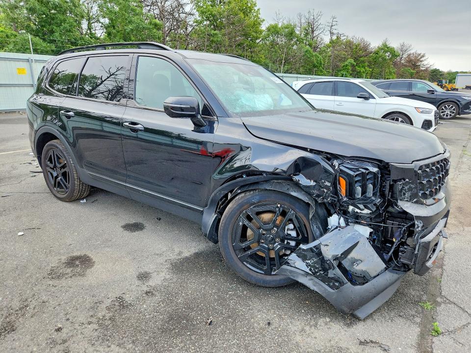 Продаж на аукціоні авто 2025 Kia Telluride, vin: 5XYP5DGC7SG698434, номер лоту: 58642726