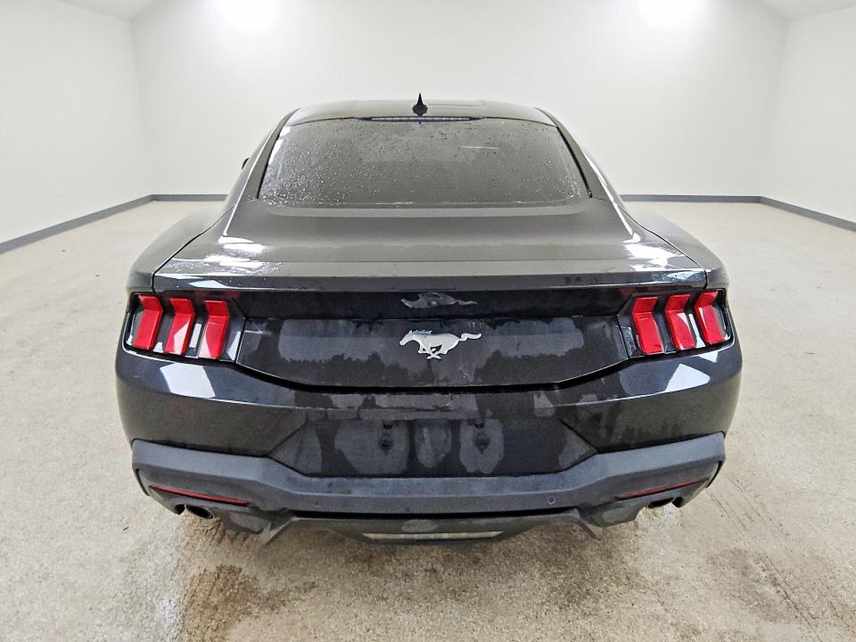 Продаж на аукціоні авто 2024 Ford Mustang, vin: 1FA6P8TH3R5122024, номер лоту: 53474396