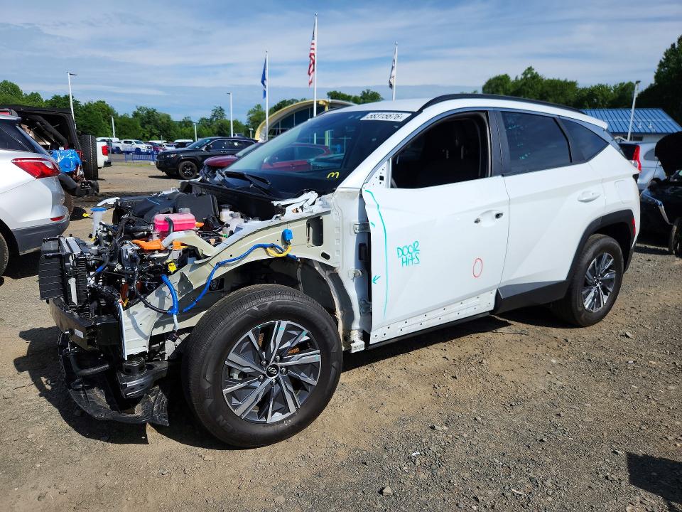 Auction sale of the 2024 Hyundai Tucson, vin: KM8JBCD16RU231442, lot number: 58315676