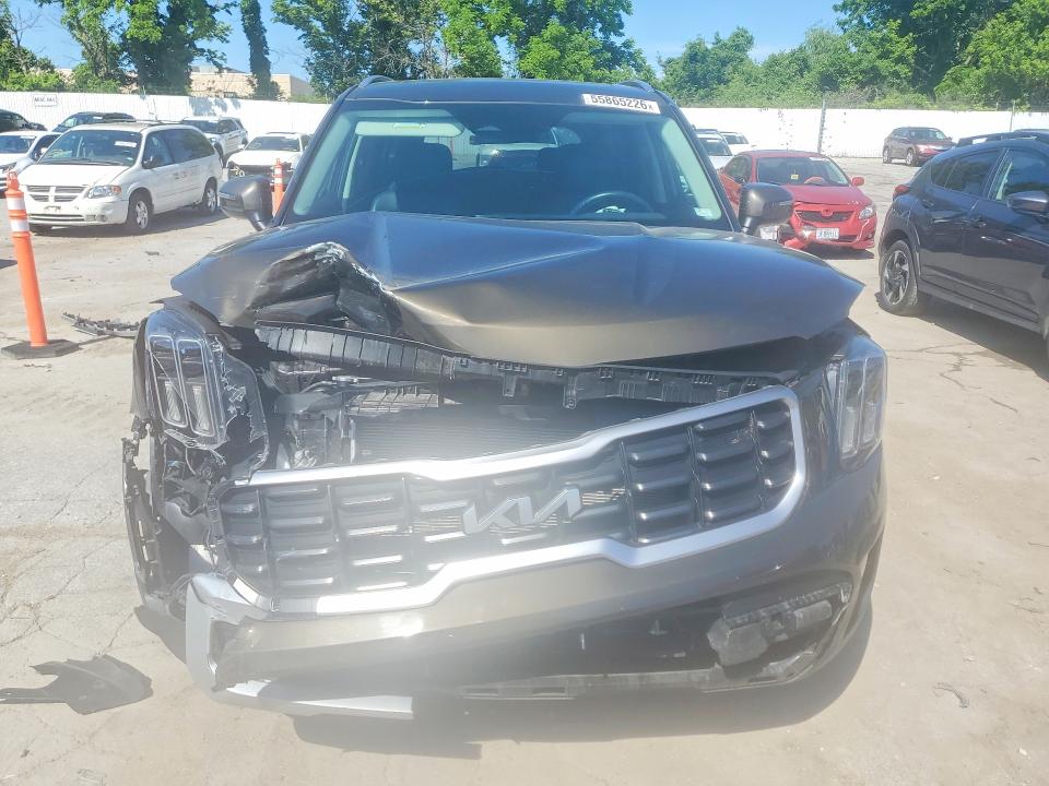 Продаж на аукціоні авто 2025 Kia Telluride, vin: 5XYP6DGC1SG587049, номер лоту: 55865226