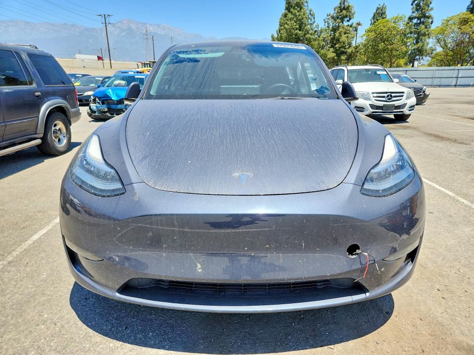 Aukcja sprzedaży 2023 Tesla Model Y, vin: 7SAYGDEE3PA089052, numer aukcji: 57005046