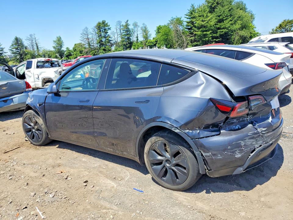 Aukcja sprzedaży 2024 Tesla Model Y, vin: 7SAYGDEE6RA321484, numer aukcji: 55713126